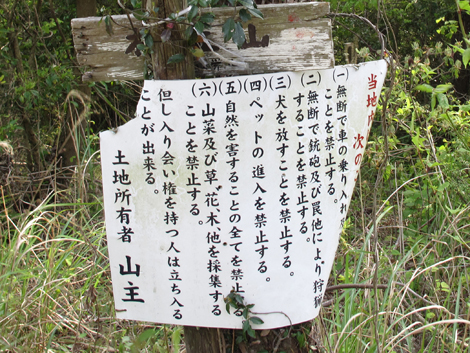 20140426hike (310)